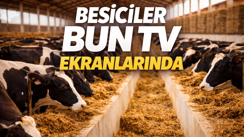 Besiciler BUN’da