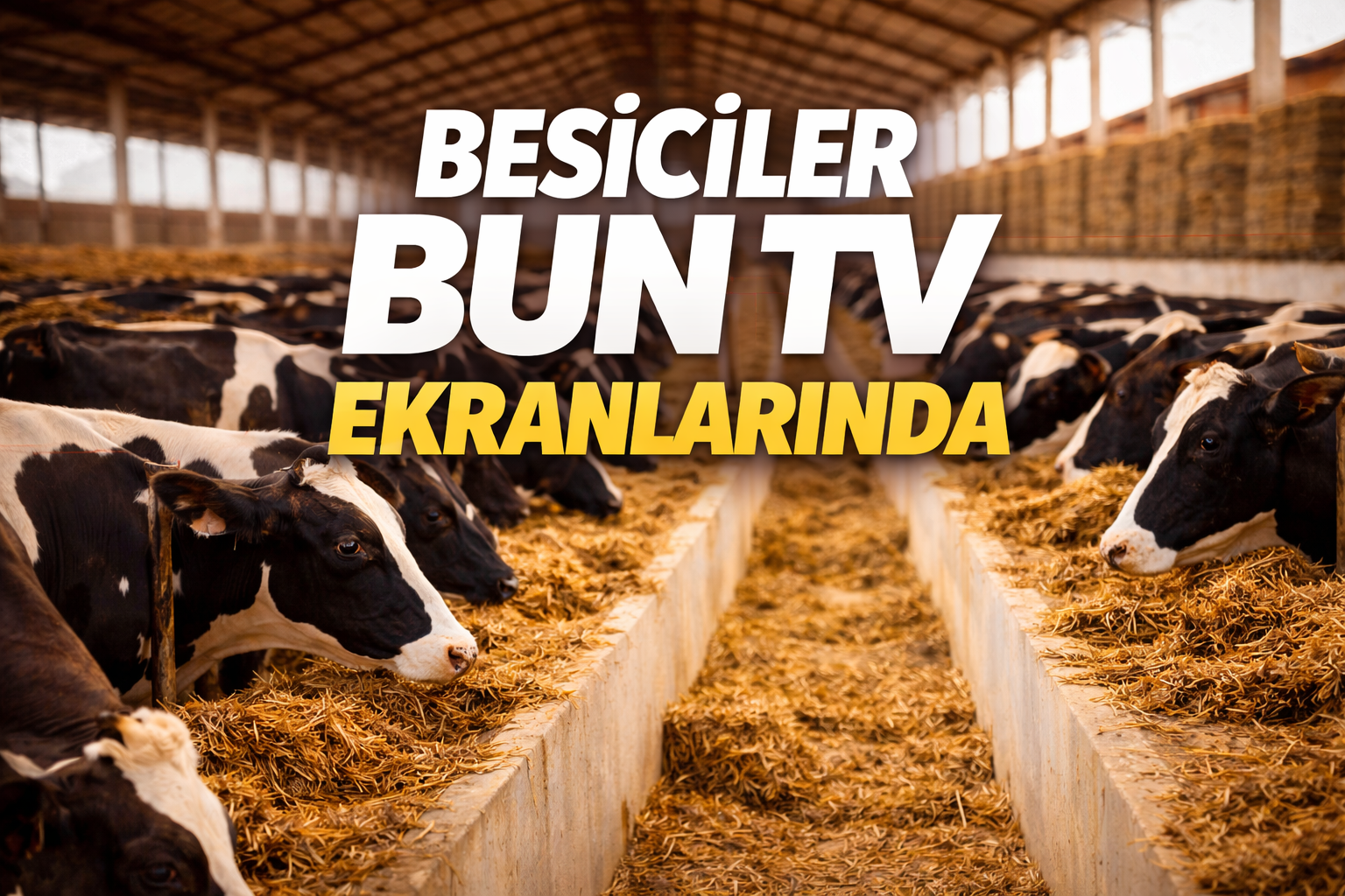 Besiciler BUN’da