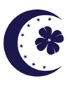 Yeni Türkiye Partisi